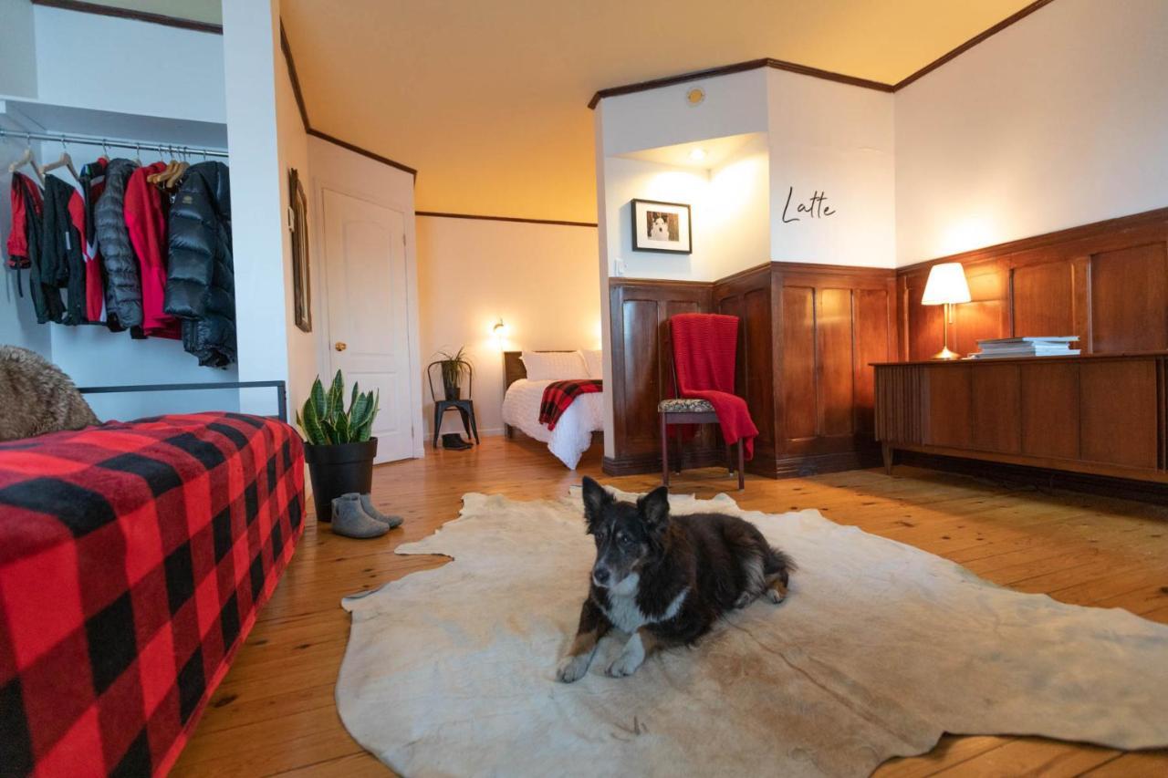 Auberge & Campagne Saint-Ferreol-les-Neiges Kültér fotó